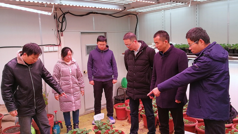 经作所副所长胡茂龙研究员介绍了经作所的基本情况,油菜学科负责人